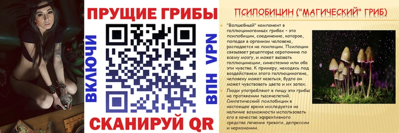Псилоцибиновые грибы Magic Shrooms  Петропавловск-Камчатский 