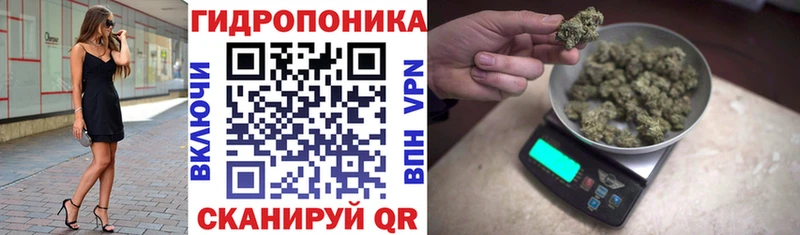 Шишки марихуана ГИДРОПОН Петропавловск-Камчатский
